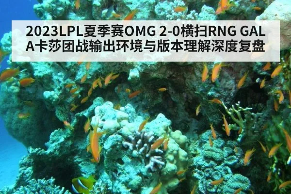 2023LPL夏季赛OMG 2-0横扫RNG GALA卡莎团战输出环境与版本理解深度复盘