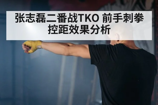 张志磊二番战TKO 前手刺拳控距效果分析